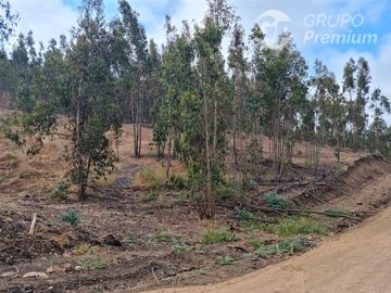 Venta de Parcela en Bucalemu - Santo Domingo