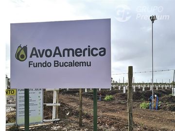 Venta de Parcela en Bucalemu - Santo Domingo
