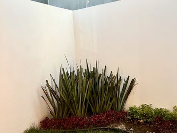 Hermosas casas en Pre- venta al sur poniente de la ciudad, aprovecha precio
