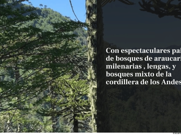VENTA DE TERRENO 131 HA, EN MELIPEUCO UN PARAISO NATURAL