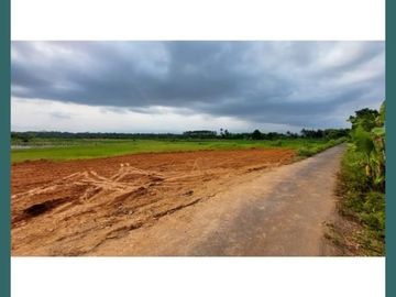 Pekarangan Murah Belakang SPBU Blondo; 140m, SHM
