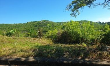 276 Sqm Residential Lot for Sale in ASPEN HEIGHTS Consolacion Cebu with Scenic Mountain Views