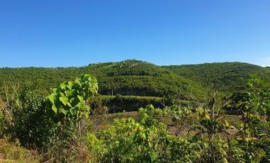 276 Sqm Residential Lot for Sale in ASPEN HEIGHTS Consolacion Cebu with Scenic Mountain Views