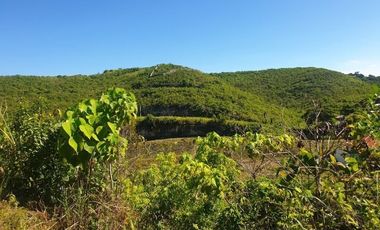 276 Sqm Residential Lot for Sale in ASPEN HEIGHTS Consolacion Cebu with Scenic Mountain Views
