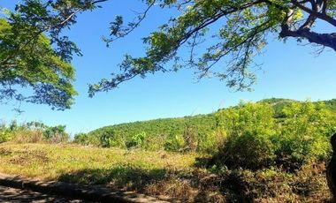 276 Sqm Residential Lot for Sale in ASPEN HEIGHTS Consolacion Cebu with Scenic Mountain Views