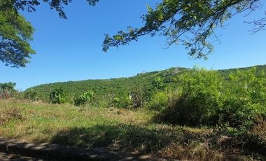 276 Sqm Residential Lot for Sale in ASPEN HEIGHTS Consolacion Cebu with Scenic Mountain Views