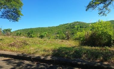 276 Sqm Residential Lot for Sale in ASPEN HEIGHTS Consolacion Cebu with Scenic Mountain Views