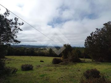 Vendemos Parcela de 2Ha con casa en el sector Dao, Calbuco