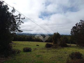 Vendemos Parcela de 2Ha con casa en el sector Dao, Calbuco