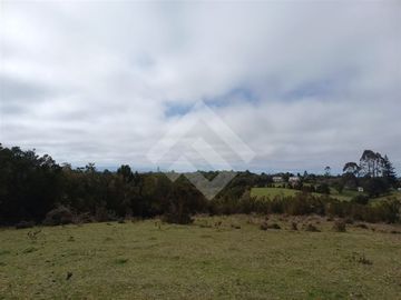 Vendemos Parcela de 2Ha con casa en el sector Dao, Calbuco