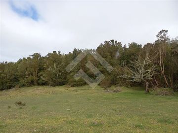 Vendemos Parcela de 2Ha con casa en el sector Dao, Calbuco
