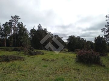 Vendemos Parcela de 2Ha con casa en el sector Dao, Calbuco