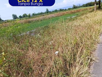 Dekat RS PKU Singkil Adiwerna, Tanah Perumahan Tegal, Lahan Matang