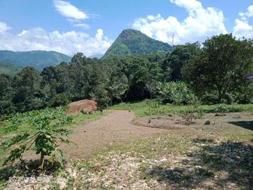 Murah Tanah Kavling Pesona Perkebunan Sukaharja Bogor