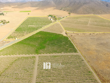 8 A 38 HA. VIÑEDO PRODUCIENDO EN  VALLE DE GUADALUPE !! OPORTUNIDAD!!