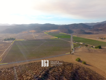 8 A 38 HA. VIÑEDO PRODUCIENDO EN  VALLE DE GUADALUPE !! OPORTUNIDAD!!