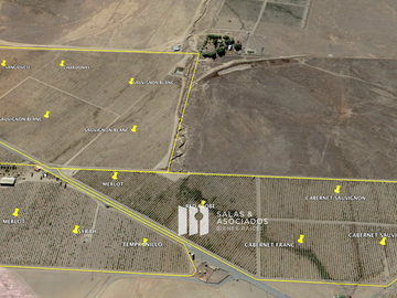 8 A 38 HA. VIÑEDO PRODUCIENDO EN  VALLE DE GUADALUPE !! OPORTUNIDAD!!