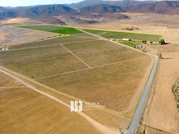 8 A 38 HA. VIÑEDO PRODUCIENDO EN  VALLE DE GUADALUPE !! OPORTUNIDAD!!