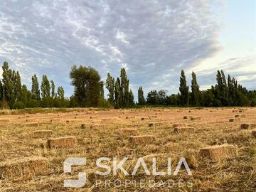 Parcelas 5.000 m2 venta 27 millones Quiriquina, San Ignacio.