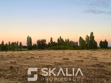 Parcelas 5.000 m2 venta 27 millones Quiriquina, San Ignacio.