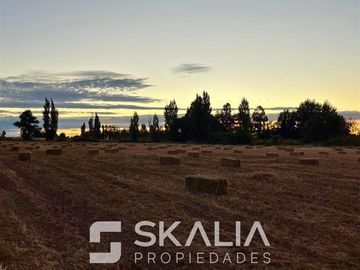 Parcelas 5.000 m2 venta 27 millones Quiriquina, San Ignacio.