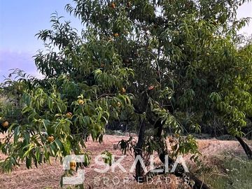 Parcelas 5.000 m2 venta 27 millones Quiriquina, San Ignacio.