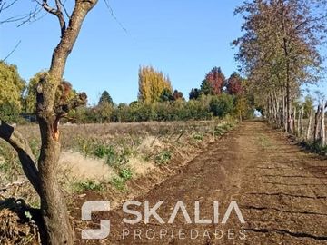 Parcelas 5.000 m2 venta 27 millones Quiriquina, San Ignacio.