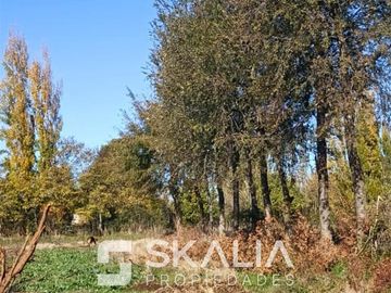 Parcelas 5.000 m2 venta 27 millones Quiriquina, San Ignacio.