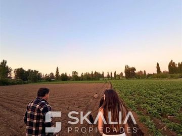 Parcelas 5.000 m2 venta 27 millones Quiriquina, San Ignacio.