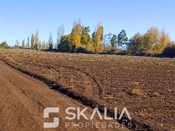 Parcelas 5.000 m2 venta 27 millones Quiriquina, San Ignacio.