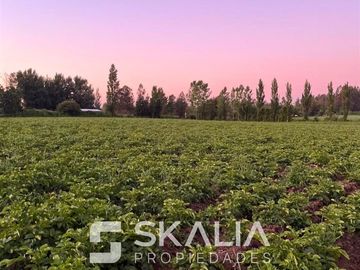 Parcelas 5.000 m2 venta 27 millones Quiriquina, San Ignacio.