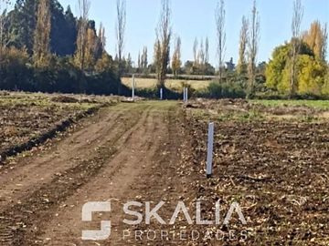 Parcelas 5.000 m2 venta 27 millones Quiriquina, San Ignacio.