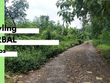 Tanah Investasi Murah Daerah Maros dekat sungai Cantik