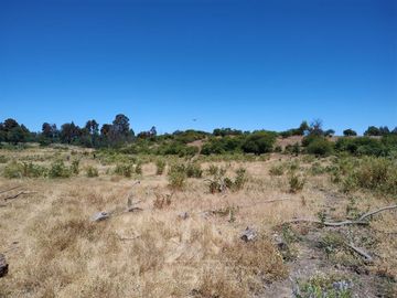 Agrícola en Venta en Se encuentra ubicado a 1,5 km de la carretera 5 sur