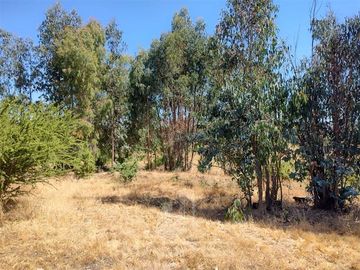 Agrícola en Venta en Se encuentra ubicado a 1,5 km de la carretera 5 sur