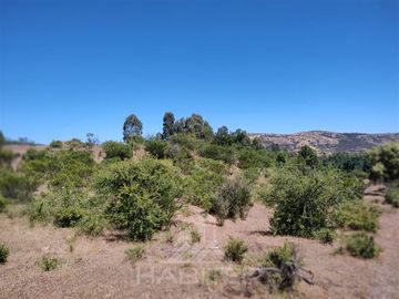 Agrícola en Venta en Se encuentra ubicado a 1,5 km de la carretera 5 sur