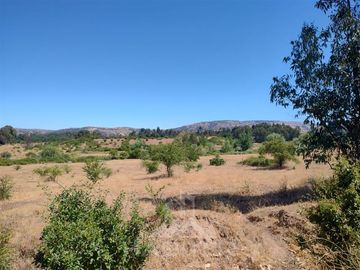 Agrícola en Venta en Se encuentra ubicado a 1,5 km de la carretera 5 sur