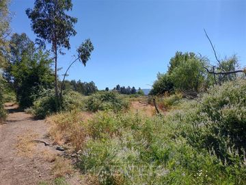 Agrícola en Venta en Se encuentra ubicado a 1,5 km de la carretera 5 sur