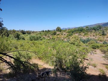 Agrícola en Venta en Se encuentra ubicado a 1,5 km de la carretera 5 sur