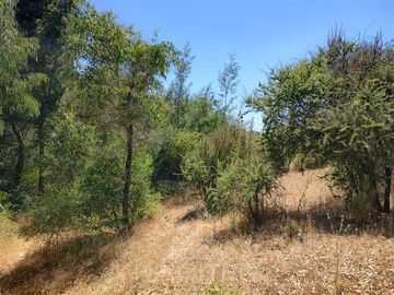 Agrícola en Venta en Se encuentra ubicado a 1,5 km de la carretera 5 sur