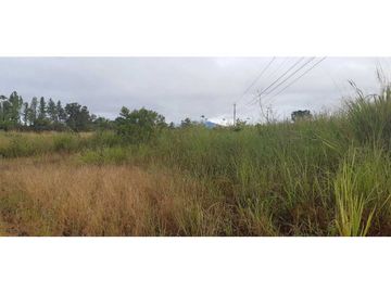 VENDO TERRENO DE 2HA EN EL FRANCES