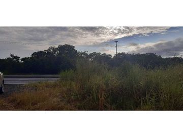 VENDO TERRENO DE 2HA EN EL FRANCES