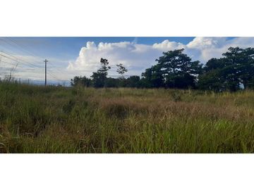 VENDO TERRENO DE 2HA EN EL FRANCES