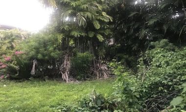 Vacant Lot in San Lorenzo Village Makati for Sale
