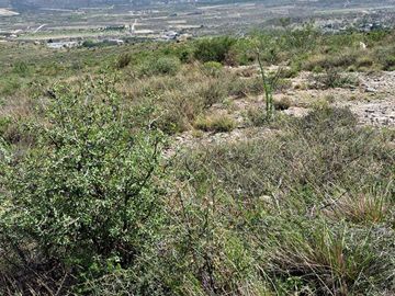 RANCHO EN VENTA, CAÑON DEL PALO DE AGUA, ARTEAGA.