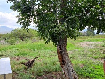 RANCHO EN VENTA, CAÑON DEL PALO DE AGUA, ARTEAGA.