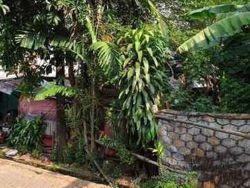Tanah Kavling Larangan Taman Asri Strategis