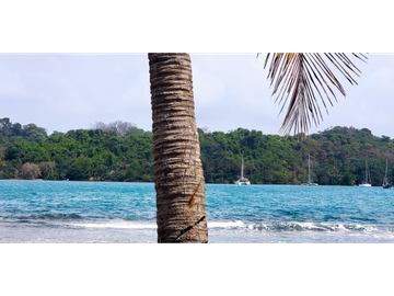 Terreno En Venta Frente Al Mar En Puerto Lindo