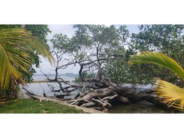 Terreno En Venta Frente Al Mar En Puerto Lindo
