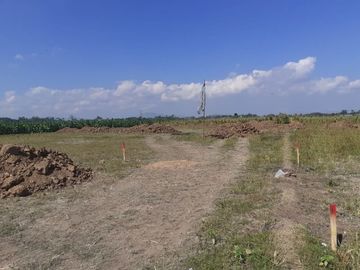 Tanah di Jenggawah Hanya 40jutaan